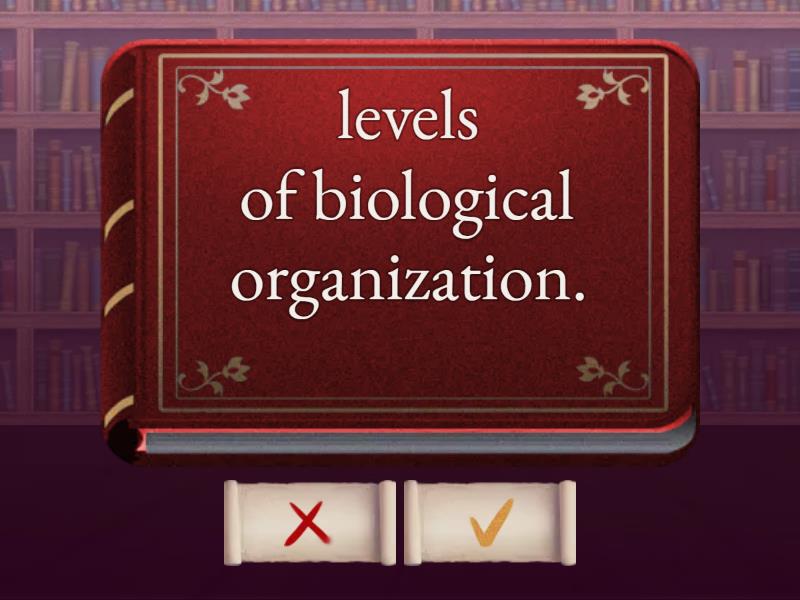 DepEd SHS Alemania ELS1 Tarjetas flash