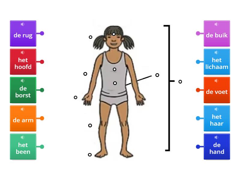 Lichaam - Labelled diagram