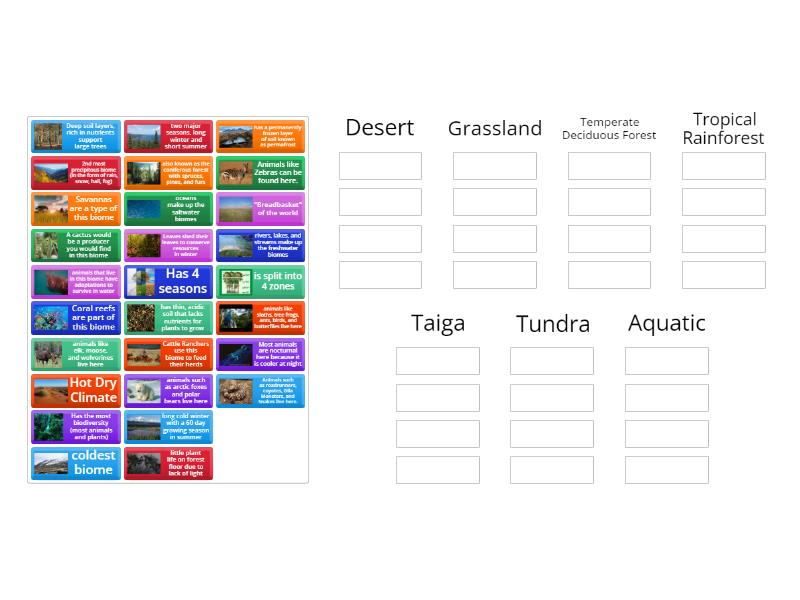 Biomes and Ecosystems - Group sort
