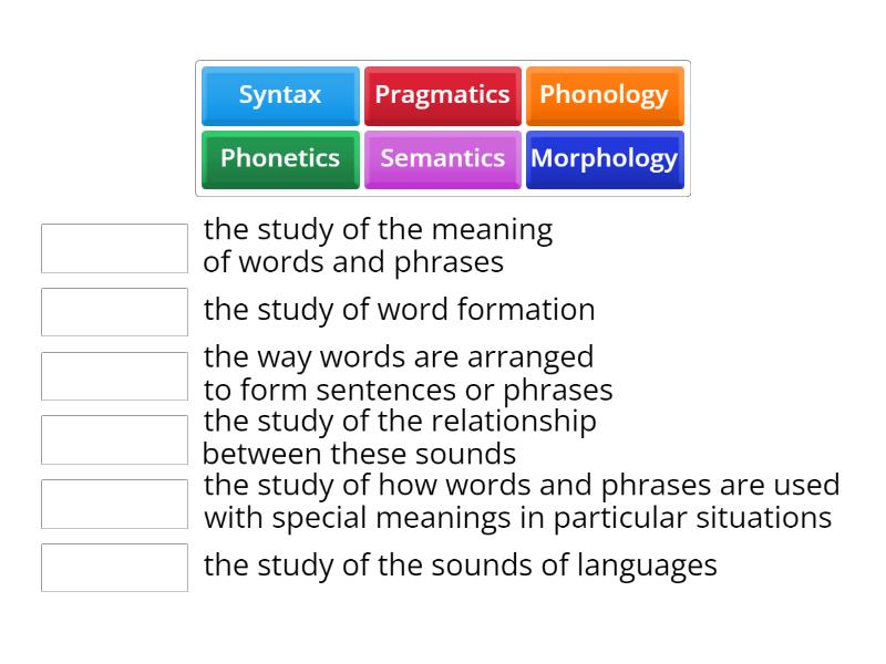 Language and its components - Сопоставить