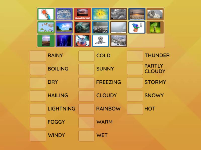 WEATHER CONDITIONS - Match Up