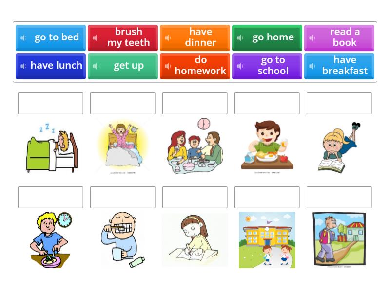 Daily Routines - Match up