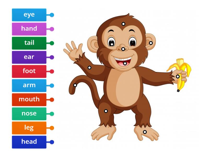 KB1_U7_ Vocabulary - All Body parts - Labelled diagram