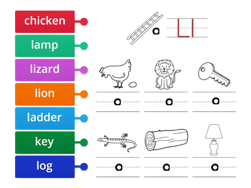 L2 39 vobulary building and pronunciation - Labelled diagram