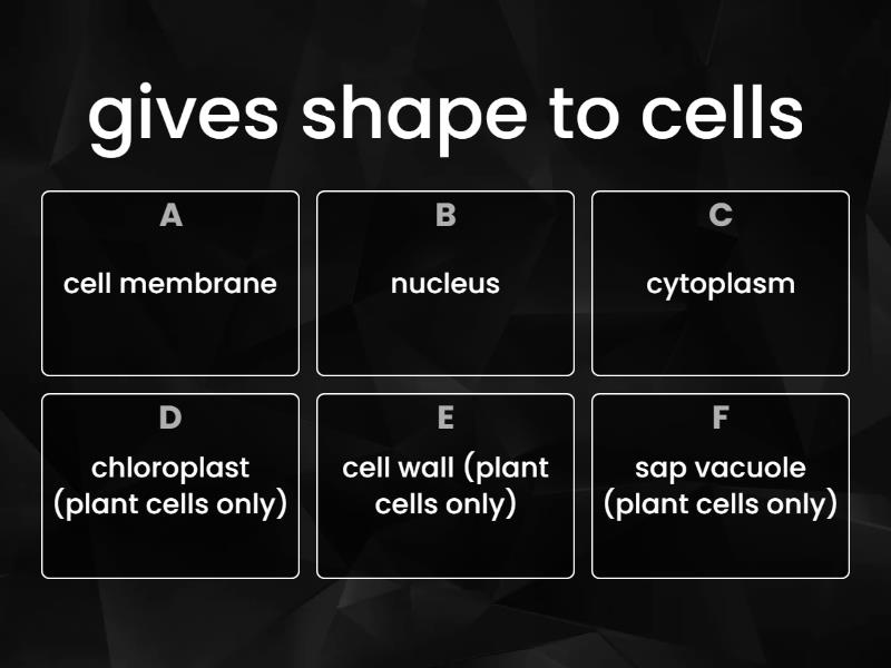 structure-of-cells-7th-grade-biology-quiz