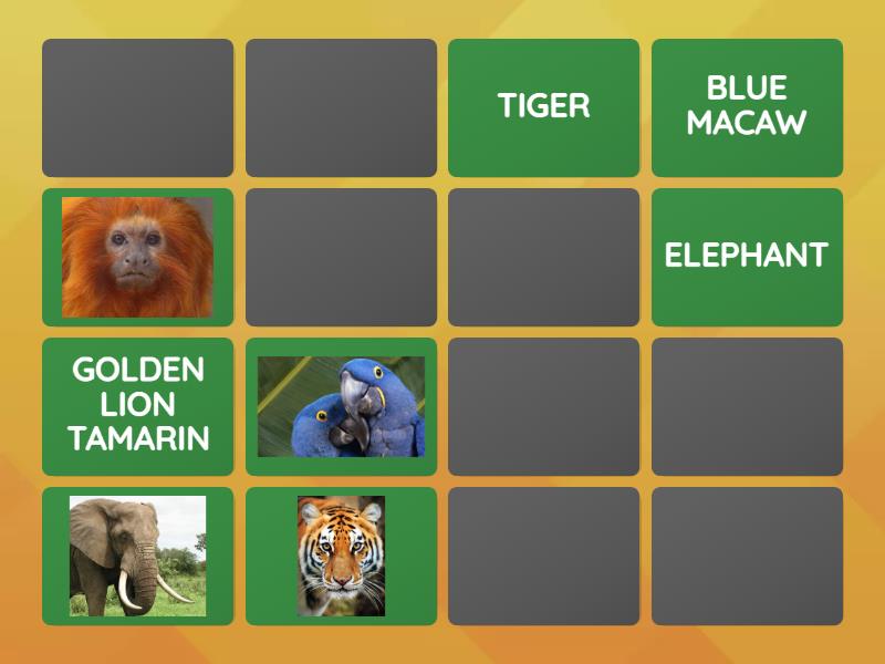 Endangered species - Memory game - Matching pairs