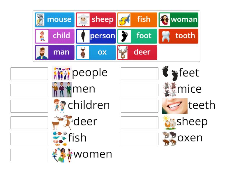 irregular plurals VTM (round up + ) - Match up