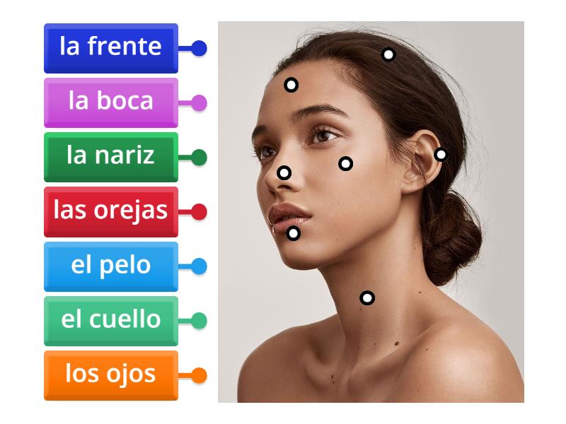 La cara A1 - Labelled diagram