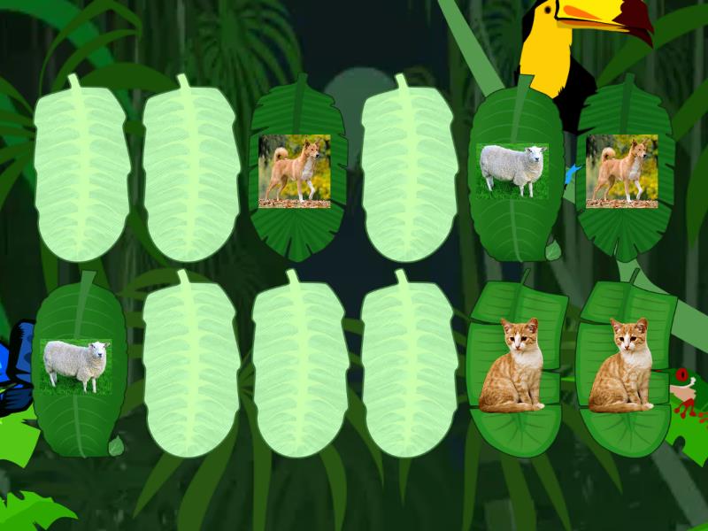 Starlight Starter Animals - Совпадающие пары