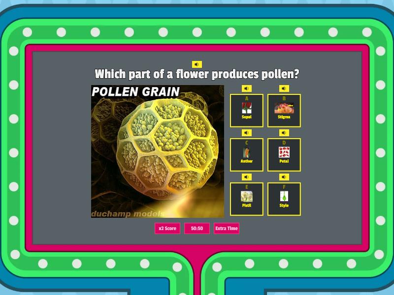 Reproduction in plants game show de tv