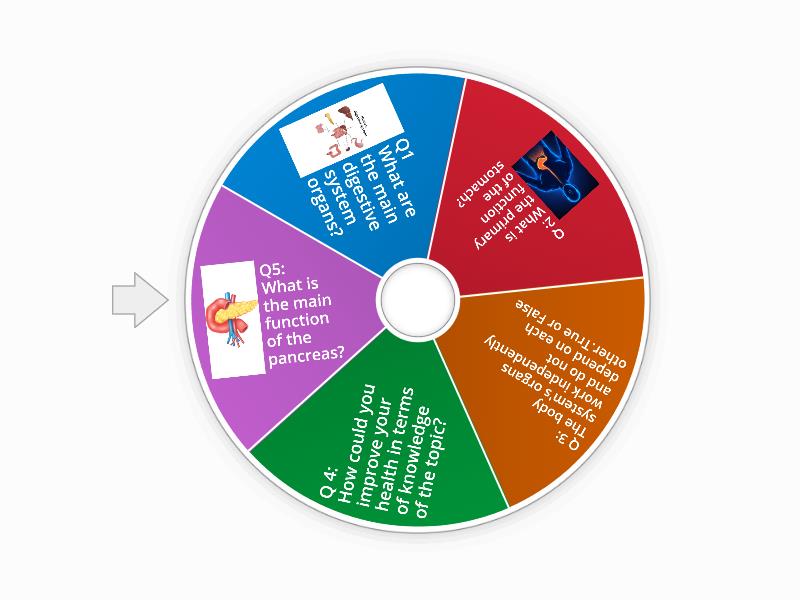 T8L4 Digestive System - Spin the wheel