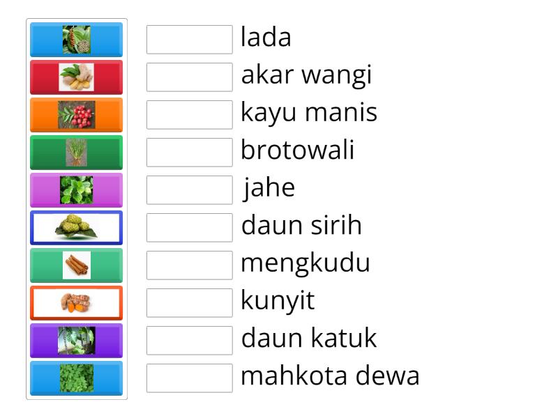 Jenis-jenis tanaman obat - Match up