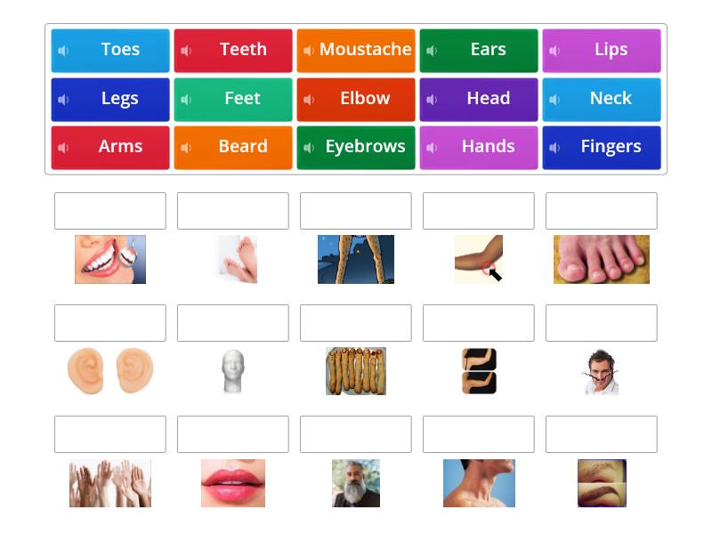 Body Vocabulary 090123. Remember to say ' it is' or ' they are'. - Match up