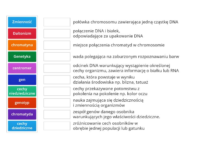 Genetyka Klasa 8 Pojęcia - Match Up