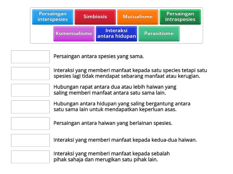 INTERAKSI ANTARA HAIWAN TAHUN 6 - Match Up