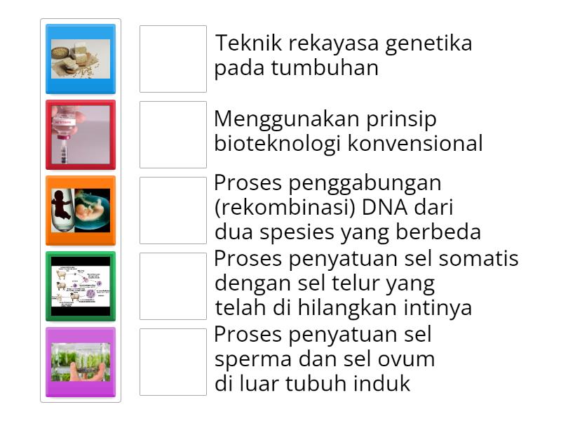 Quiz Bioteknologi Match Up