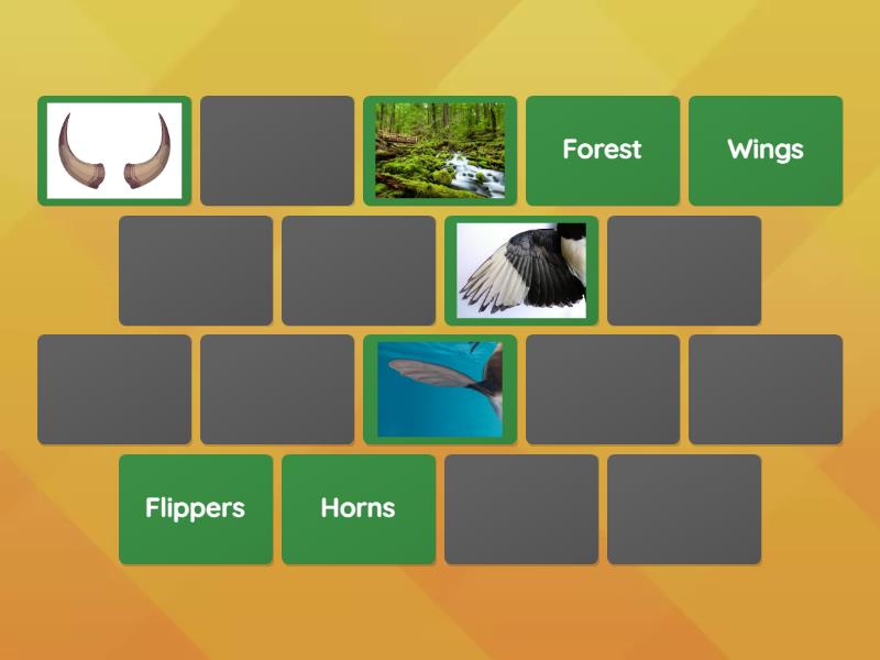 Vocabulary Matching Game Matching Pairs