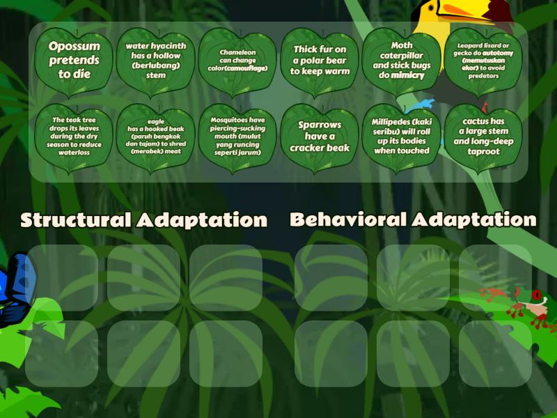 Homework P6 Structural and Behavioral Adaptation - Group sort