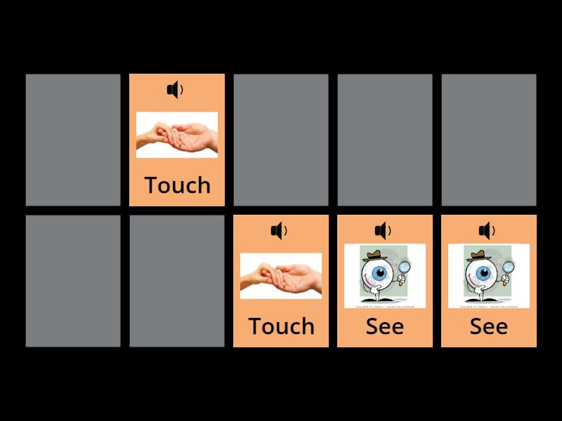 Starlight Starter. My senses - Matching pairs