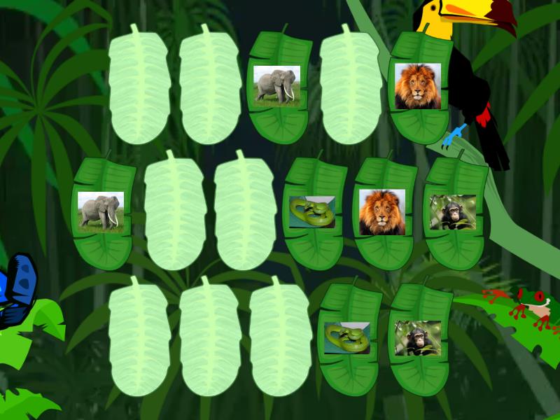 Jungle animals - elephant, tiger, lion, frog, lizard, chimpanzee ...