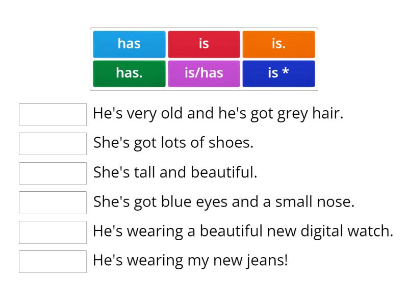 Describing people IS or HAS - Match up