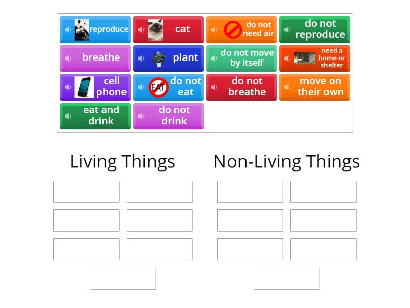 Review Living and Non-Living Things - Group sort