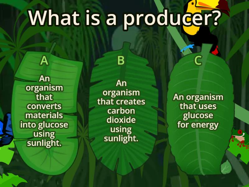 Ecosystem - Quiz