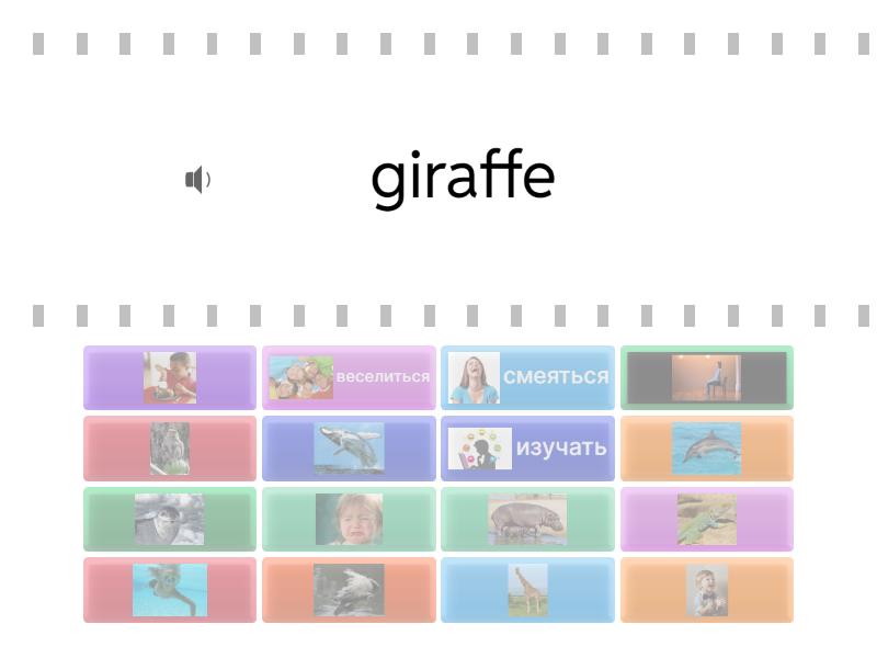 Spotlight 4 Module 4 Unit 7a Animals - Find the match