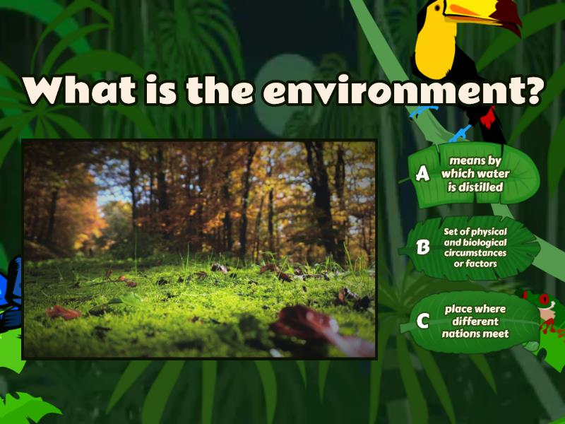 Environment - Quiz