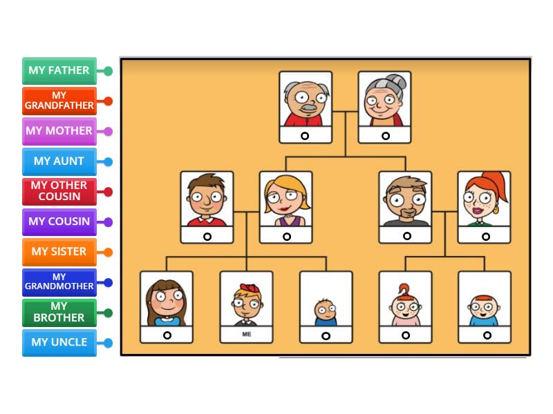 A FAMILY TREE - Labelled diagram