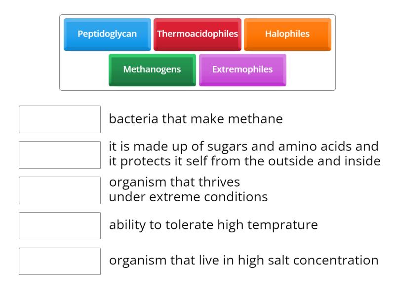 Biology - Match up