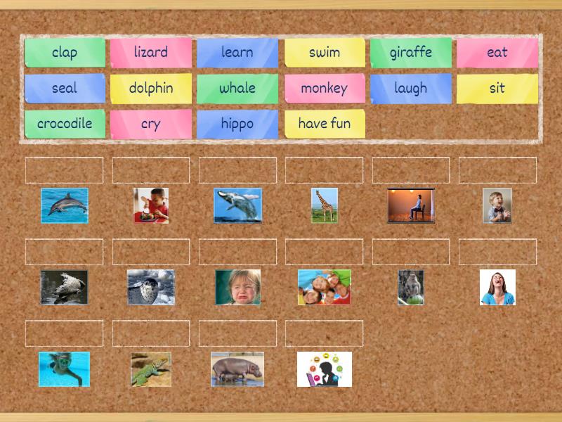 Spotlight 4 Module 4 Unit 7a Animals - Match Up