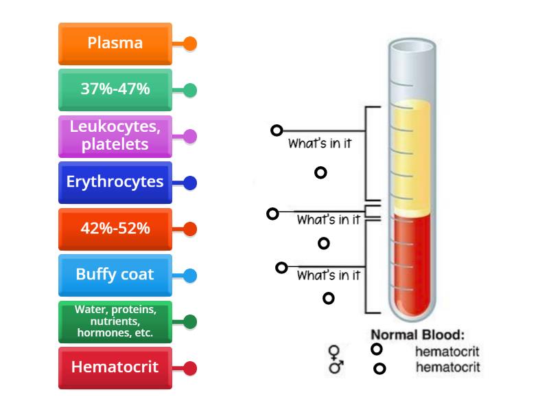 Hematocrit Reading - Labelled diagram
