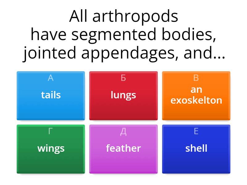 Biology terminology - Quiz