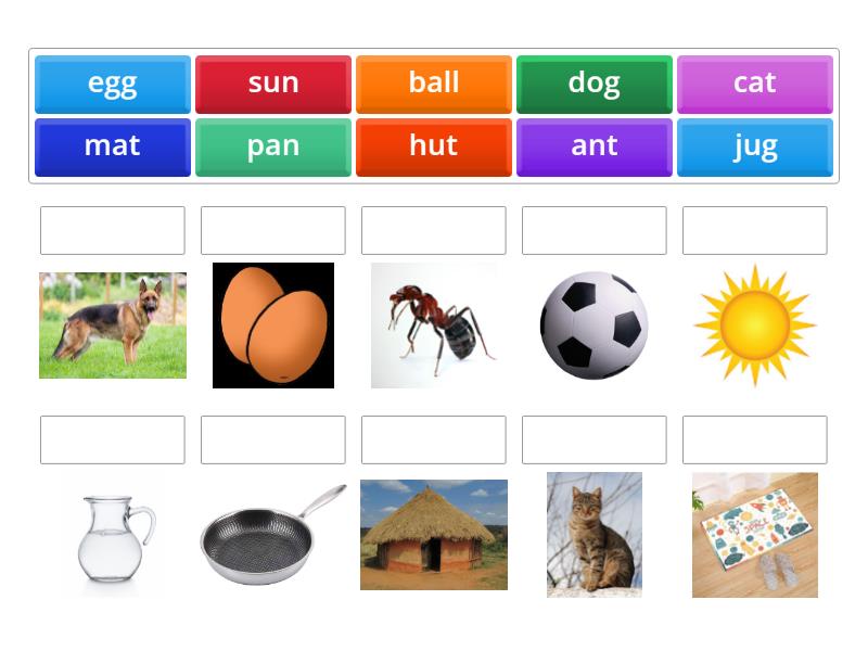 Drag the names to match them with their respective pictures. - Match up