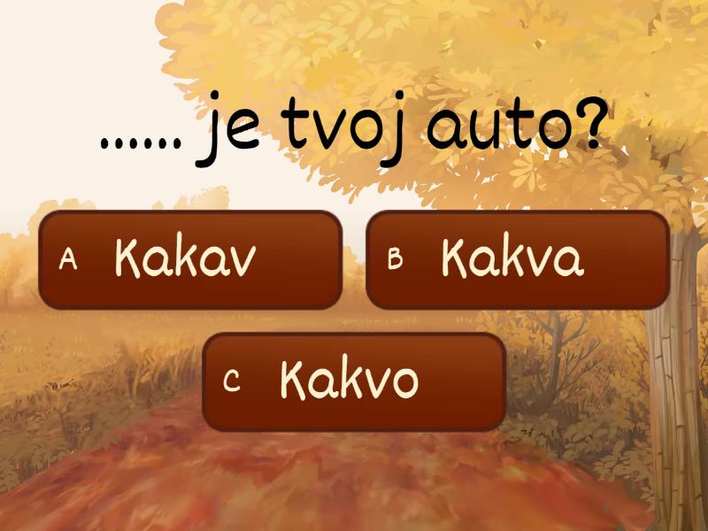 Kakav Je? Kakva Je? Kakvo Je? - Quiz