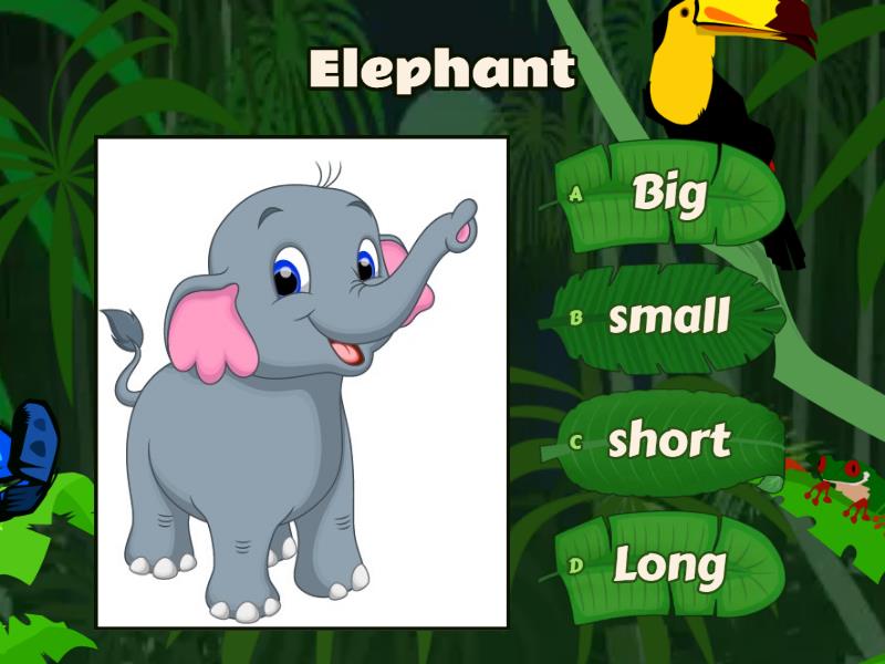 BIG SMALL LONG AND SHORT visual data 6