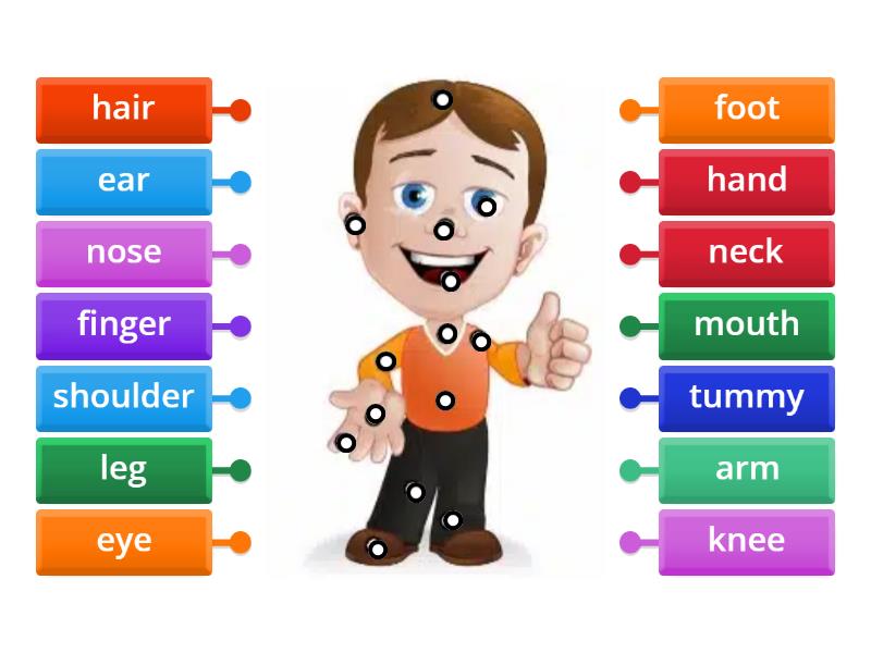 match the words with the parts of the body