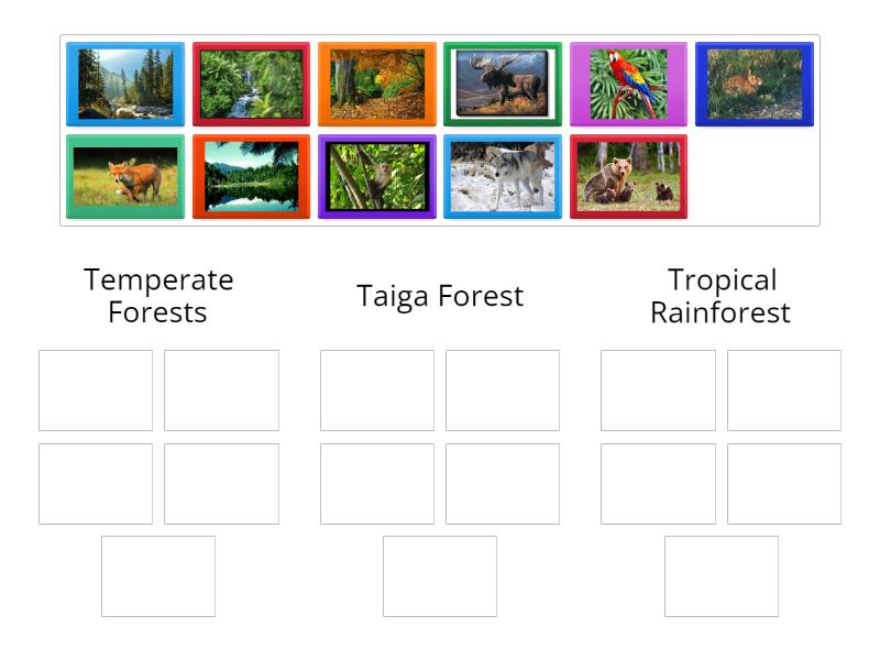 Forest Biomes Sorting - Group sort