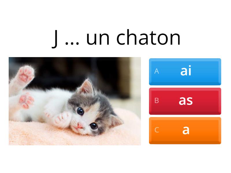 Verbe AVOIR - Quiz