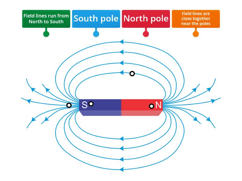 Label A Bar Magnet - Labelled Diagram