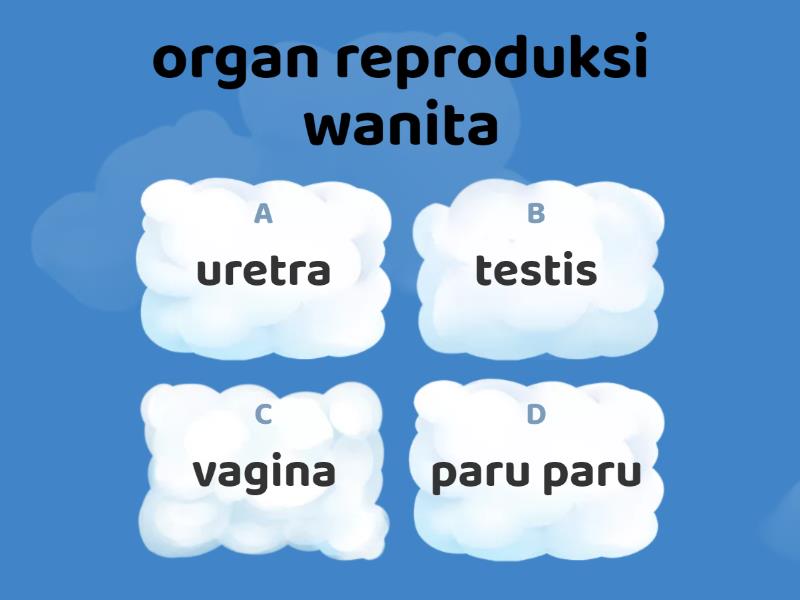 Evaluasi Kelas Sd Materi Ipa Organ Reproduksi Quiz