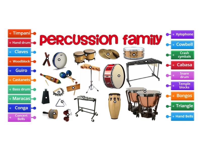 Percussion Family - Labelled diagram