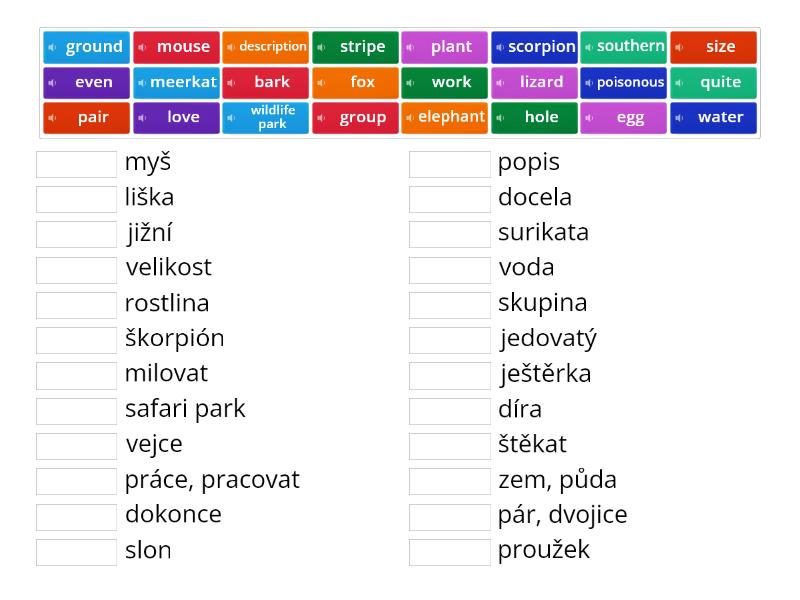 2C My favourite animals - Match up