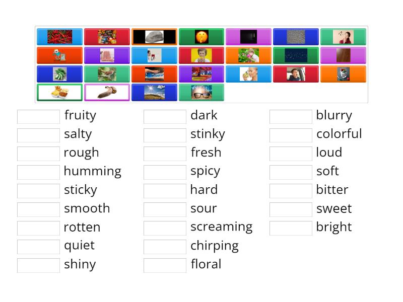 sensory words - Match up