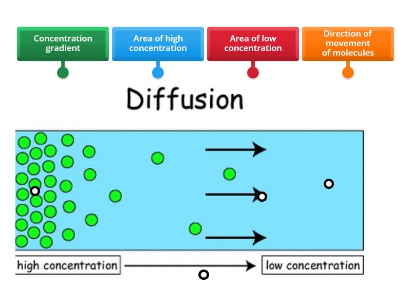 Ka1.1 Diffusion - Diagrama con etiquetas