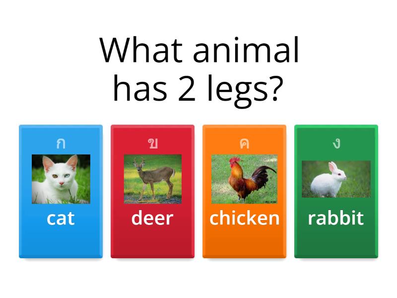 animals