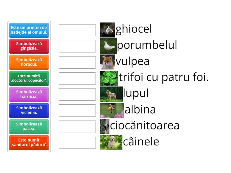 Plantele și animalele: simboluri - Match up