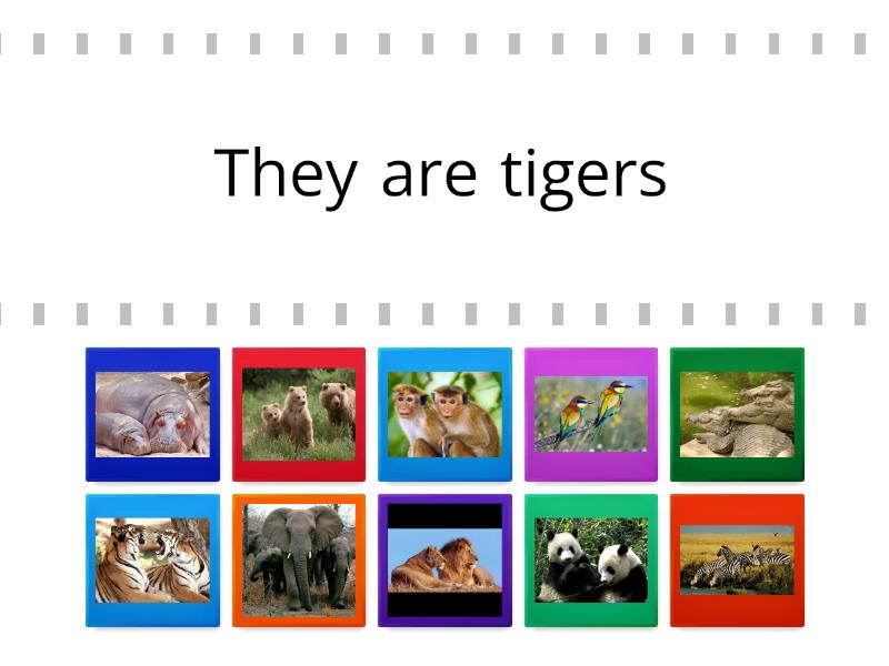 Wordwall starter unit 5. Herbivore Carnivore Omnivore. Herbivores транскрипция. Herbivore Carnivore Omnivore Worksheet. Carnivore перевод.