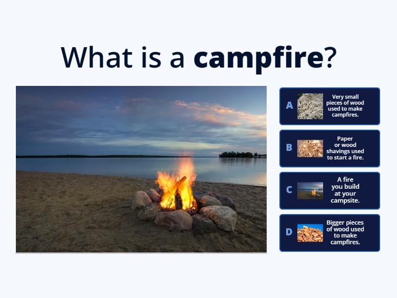 making-a-campfire-vocabulary-quiz
